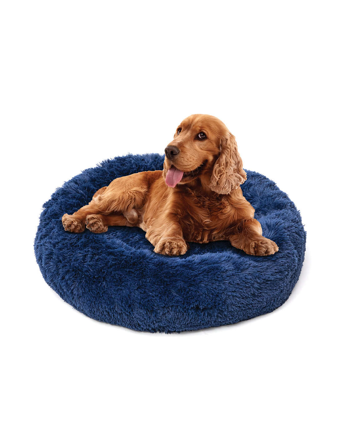 Cama de Mascota Denver