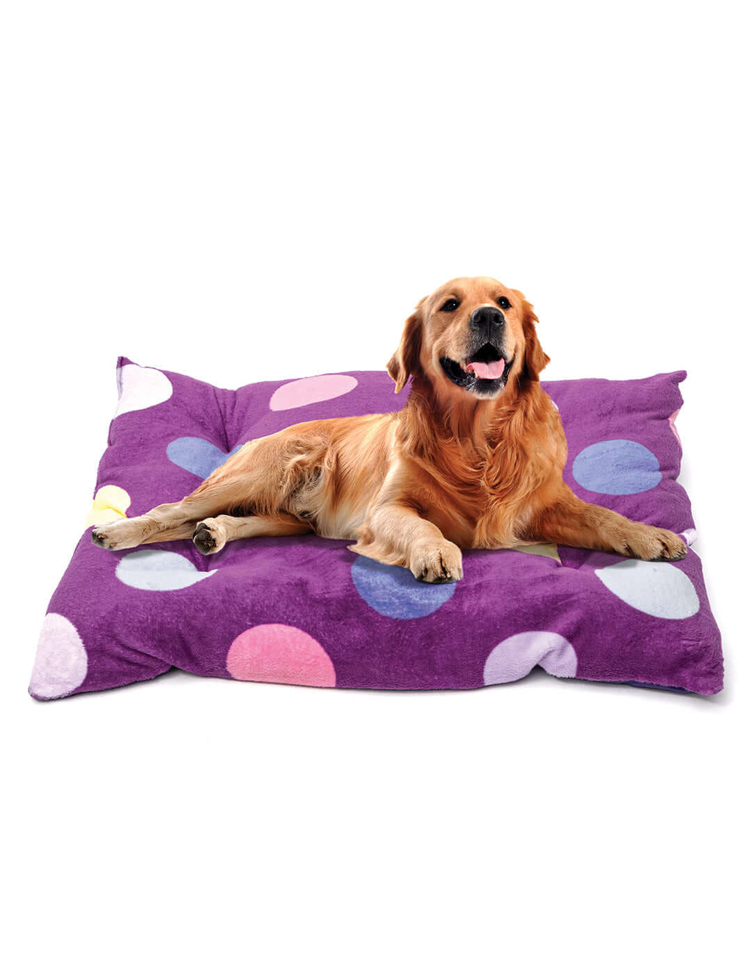 Cama de Mascota Poppy