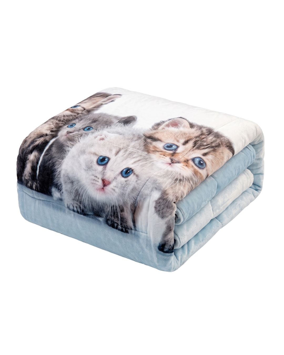 Cobertor Flannel Twin