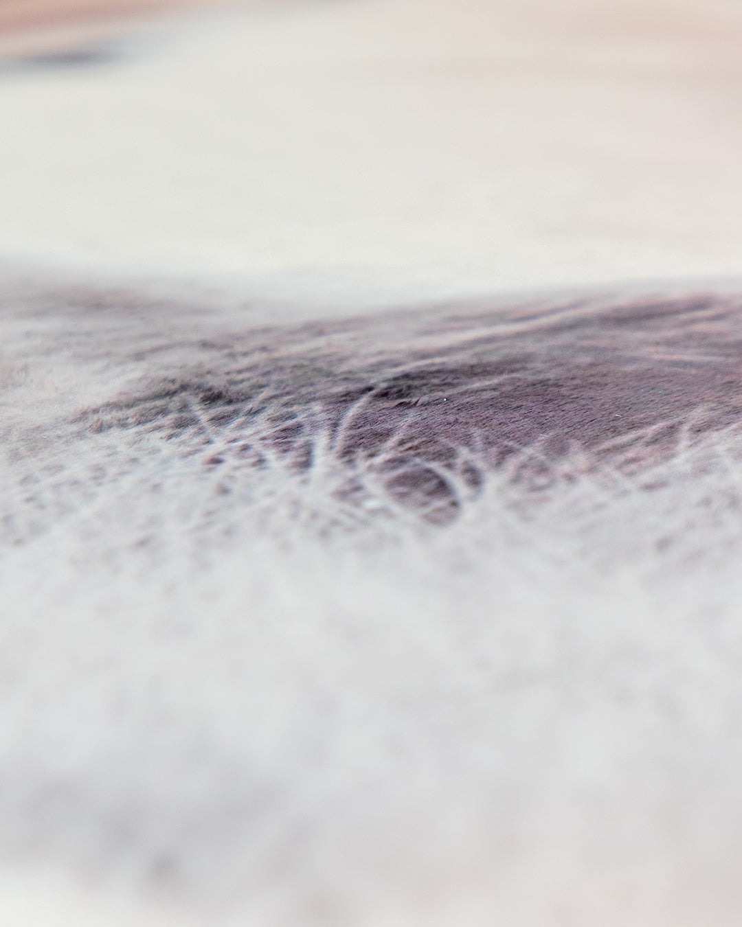 Close-up of white and gray animal fur with fine, wispy strands in focus and a soft, blurred background—evoking the Intima Hogar Cobertor Digital Ultra Suave Gatitos with its feminine design.
