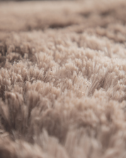 Close-up view of the Cobertor Platinum Extra Suave Montana by Intima Hogar in beige, featuring soft, fluffy fibers in focus for a textured and cozy appearance.